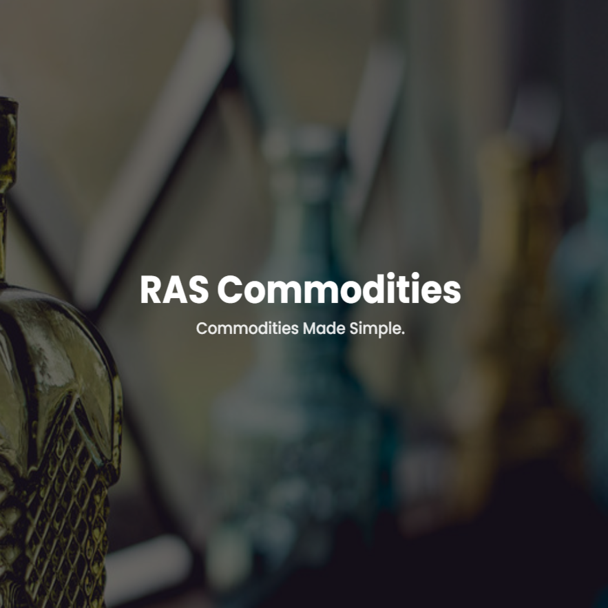 RAS Portfolio Image